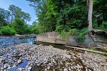 The ravine trail system